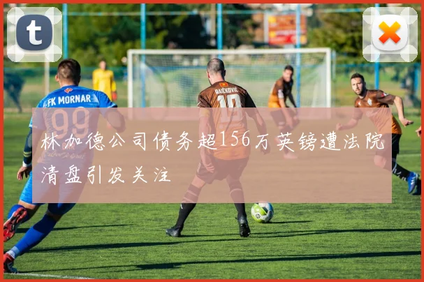 林加德公司债务超156万英镑遭法院清盘引发关注